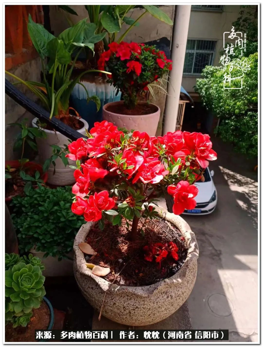 携一人白首择一城终老心之向往,携一人之手择一城终老图片