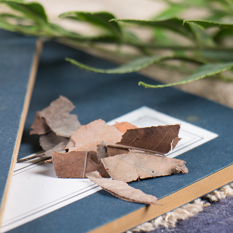 路边不起眼的野草确实补肾良药,农村路边中草药的功效与作用