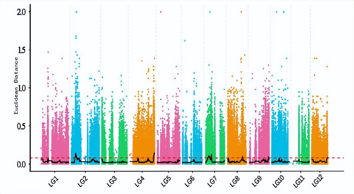 冬瓜果实的类型,冬瓜种子外形特点