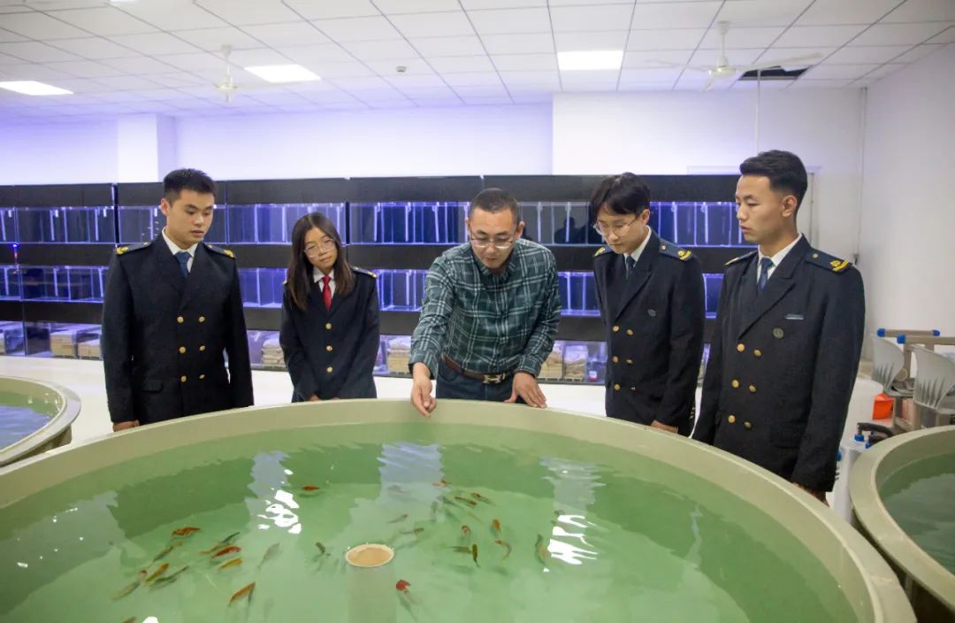 文学名家作品精选萧红作品,文学名家作品精选萧红