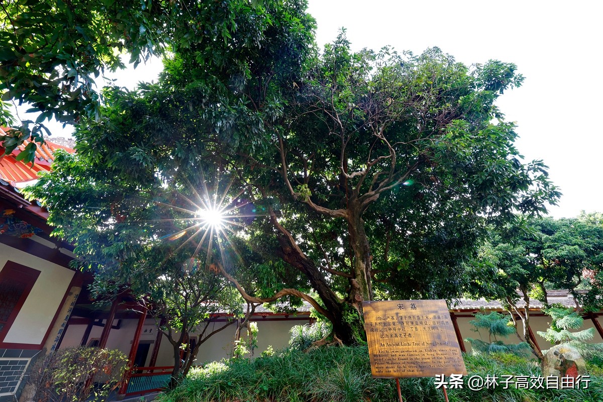 福州有哪些特色玩的,福州市区游玩攻略