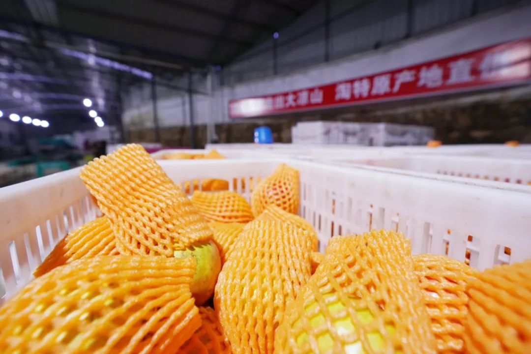 小镇崛起，淘特入乡