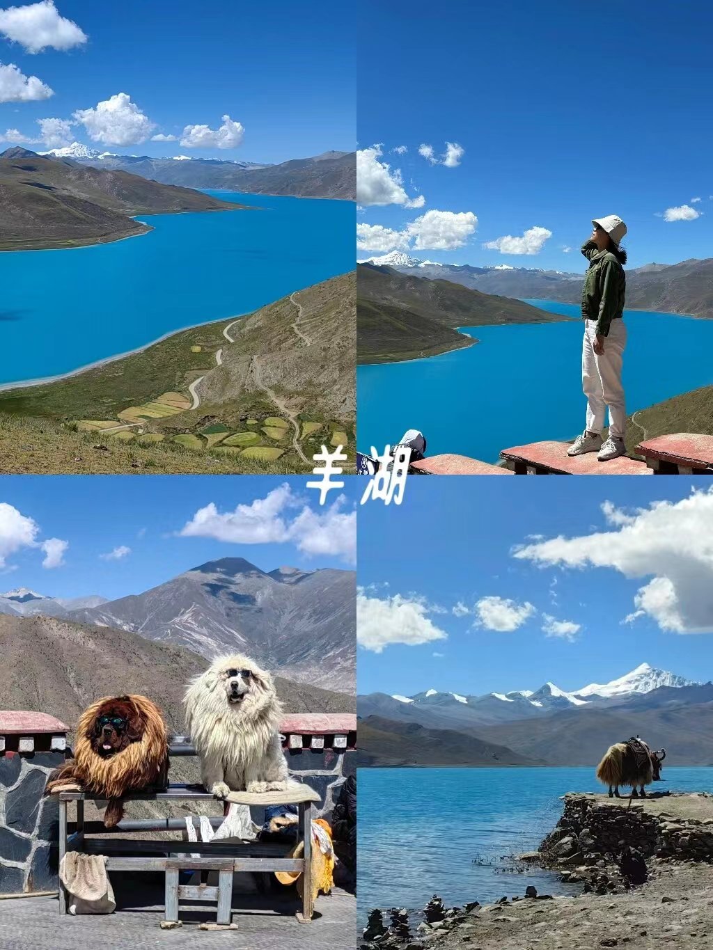 藏南旅游团报团,西北旅游哪个旅行社好