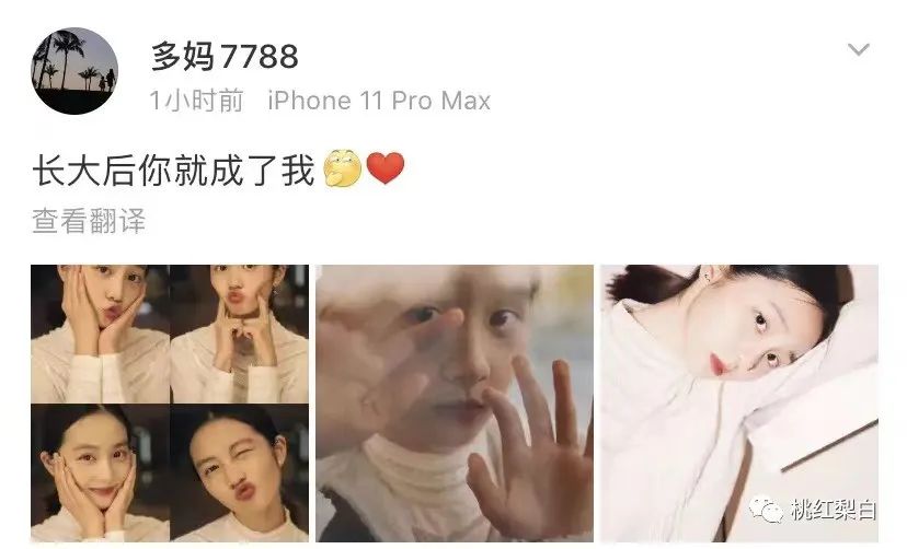 要多少钱才可以培养一个黄多多,培养一个黄多多需要多少钱