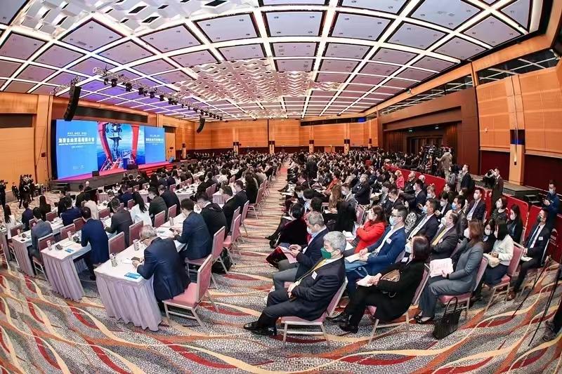 拼人气+聚财气,一位大学教授眼中的自贸港快捷打开方式