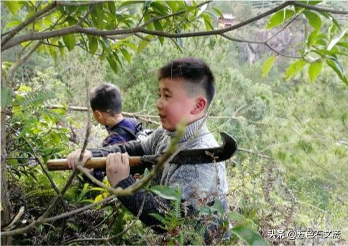 割柴总是这样，饱的时候赶路，饿的时候也得负重前行
