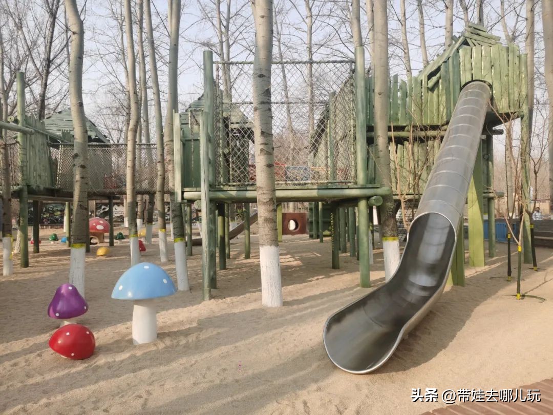 一天玩遍北京野生动物园,包场去鸟巢