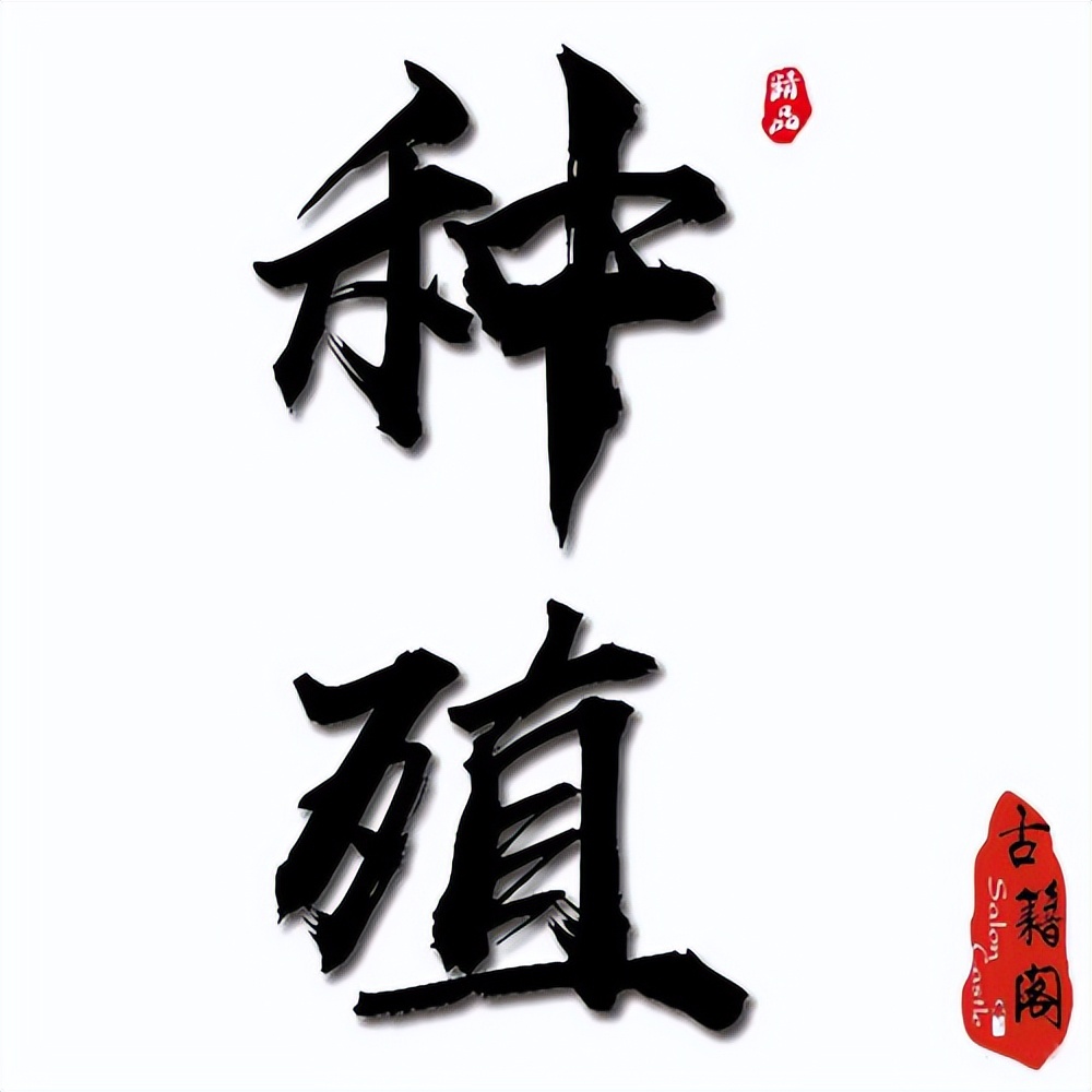 花卉大棚种植材料清单图片,大棚种植花卉盆栽推荐图片