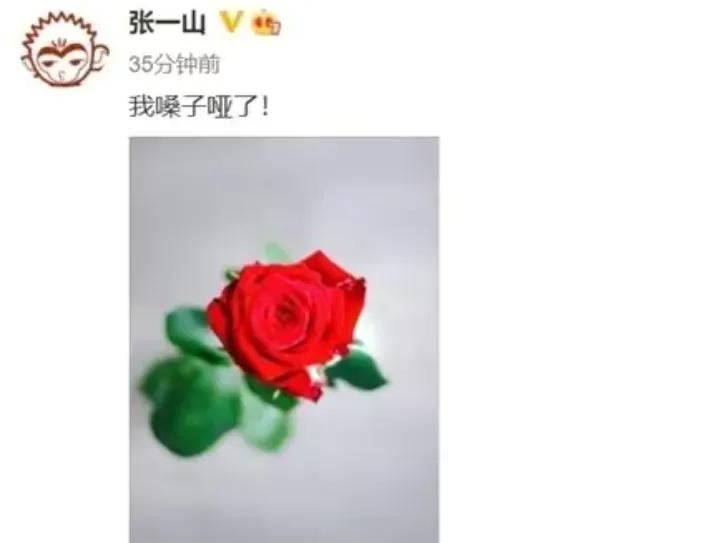 女足夺冠有多少人去做啦啦队,女足夺冠一群人庆祝