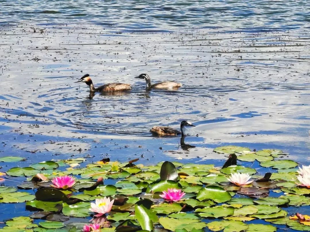 遇见20岁的男孩,遇见20年前的人