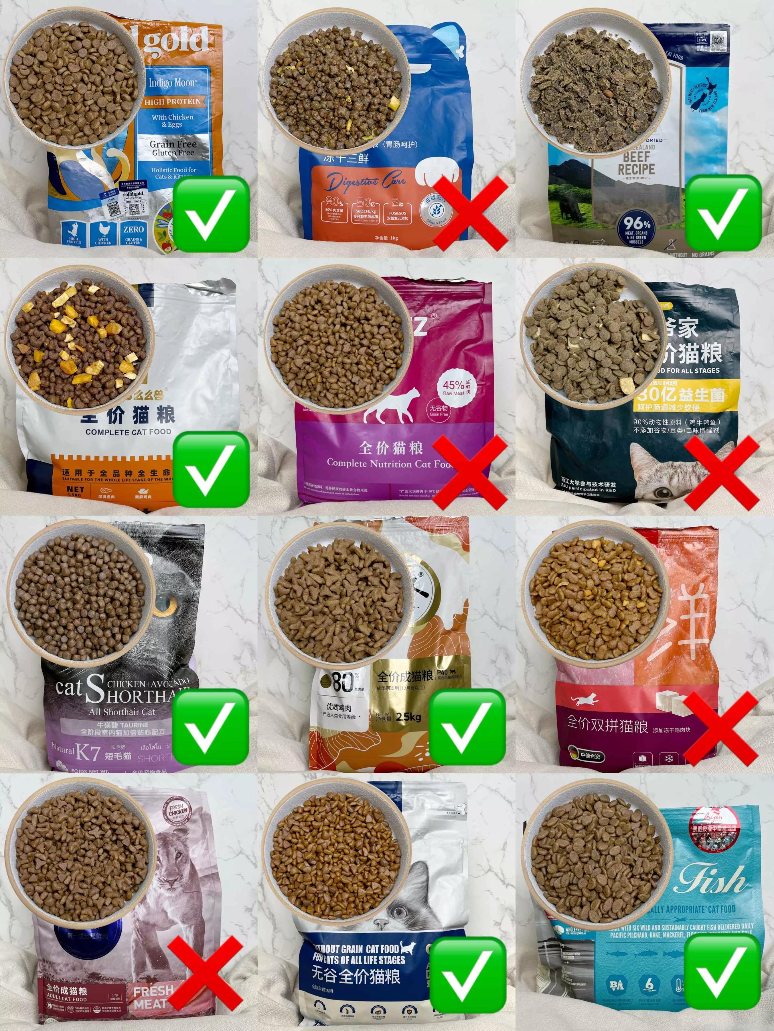 宠物店工作四年总结一些养狗知识,宠物店使用什么猫粮好些