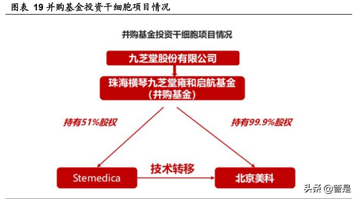 九芝堂品种介绍,九芝堂有哪些老字号