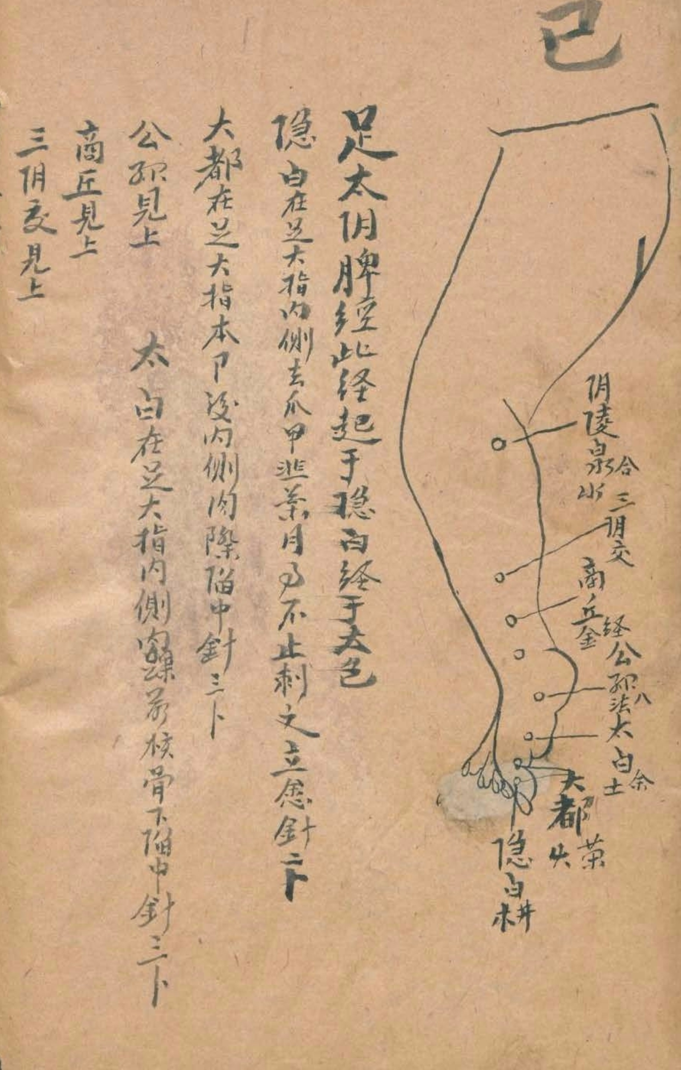 放痧疗法视频,放痧的最佳方法