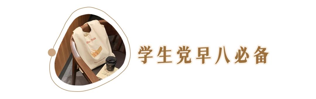 平价包包推荐小众学生大容量,包包推荐小众高级感平价托特包