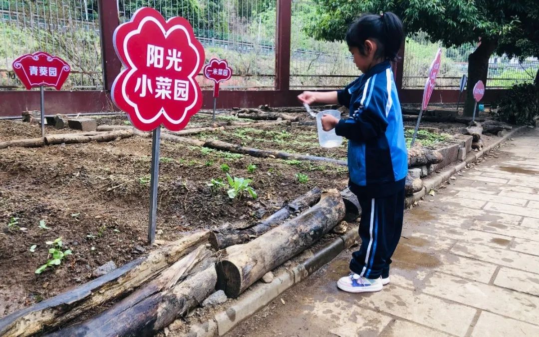 绿美太邑蔬香校园