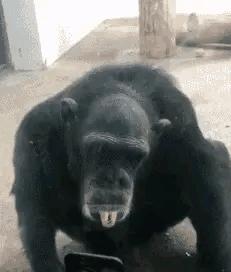 改作业的东西取不出来怎么办,改作业时油溅在作业上