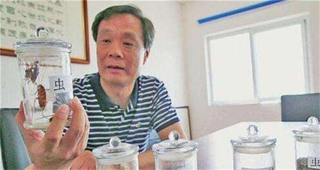 山东济南养殖蟑螂的李延荣,李延荣山东蟑螂处理垃圾第一人