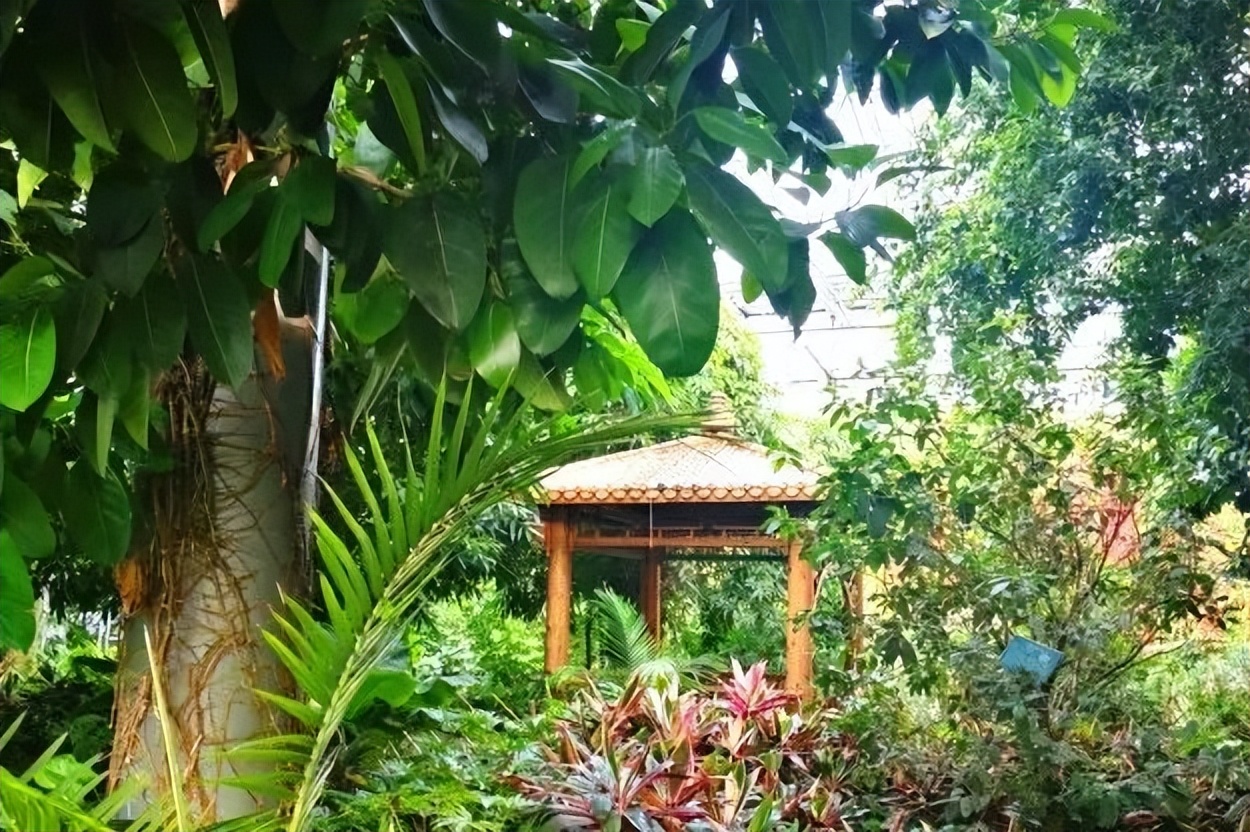 魅力赛罕秋意浓①｜金秋十月，来赛罕区见面的3种方式