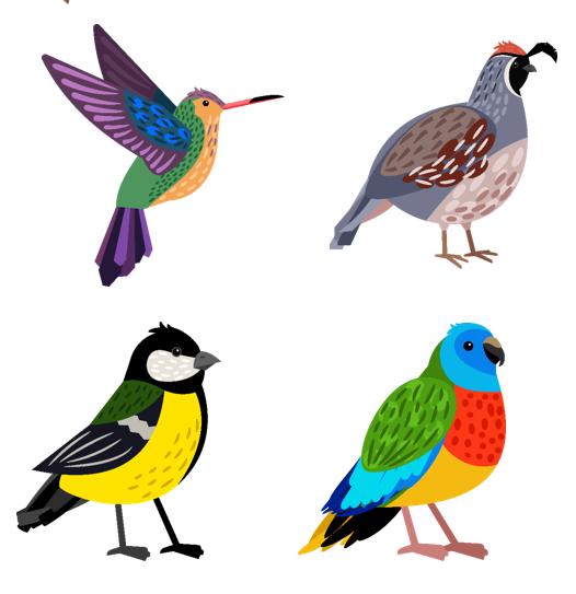 小鸟的家绘画教程,小鸟的家怎么画