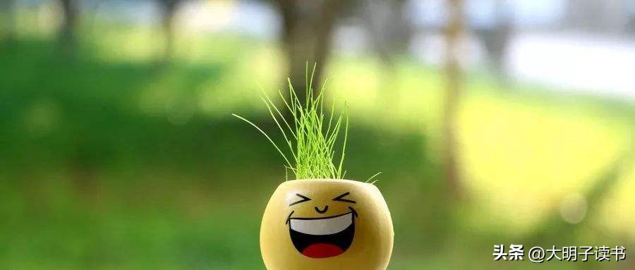 邮寄快递的小知识,邮寄快递一般经历几道工序