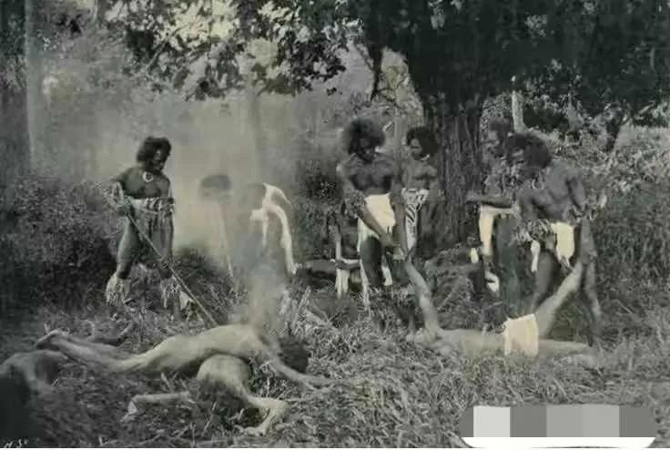 斐济有哪些基本信息,斐济是一个怎样的国家