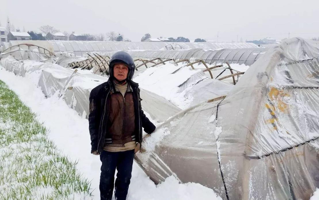 沈阳下雪打雷正常吗,沈阳出现雷打雪这预示什么