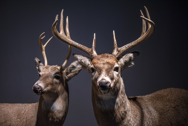 11条扎心社会规则,10条简单的社会定律