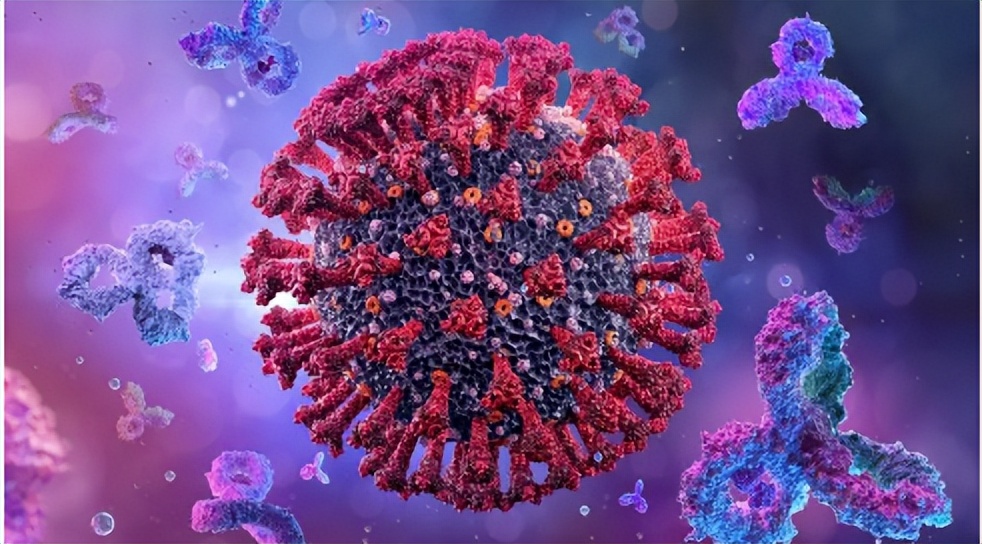 探究移动色氨酸是*霉素黄**抗生素合成黄素酶中内在电荷转移供体应用