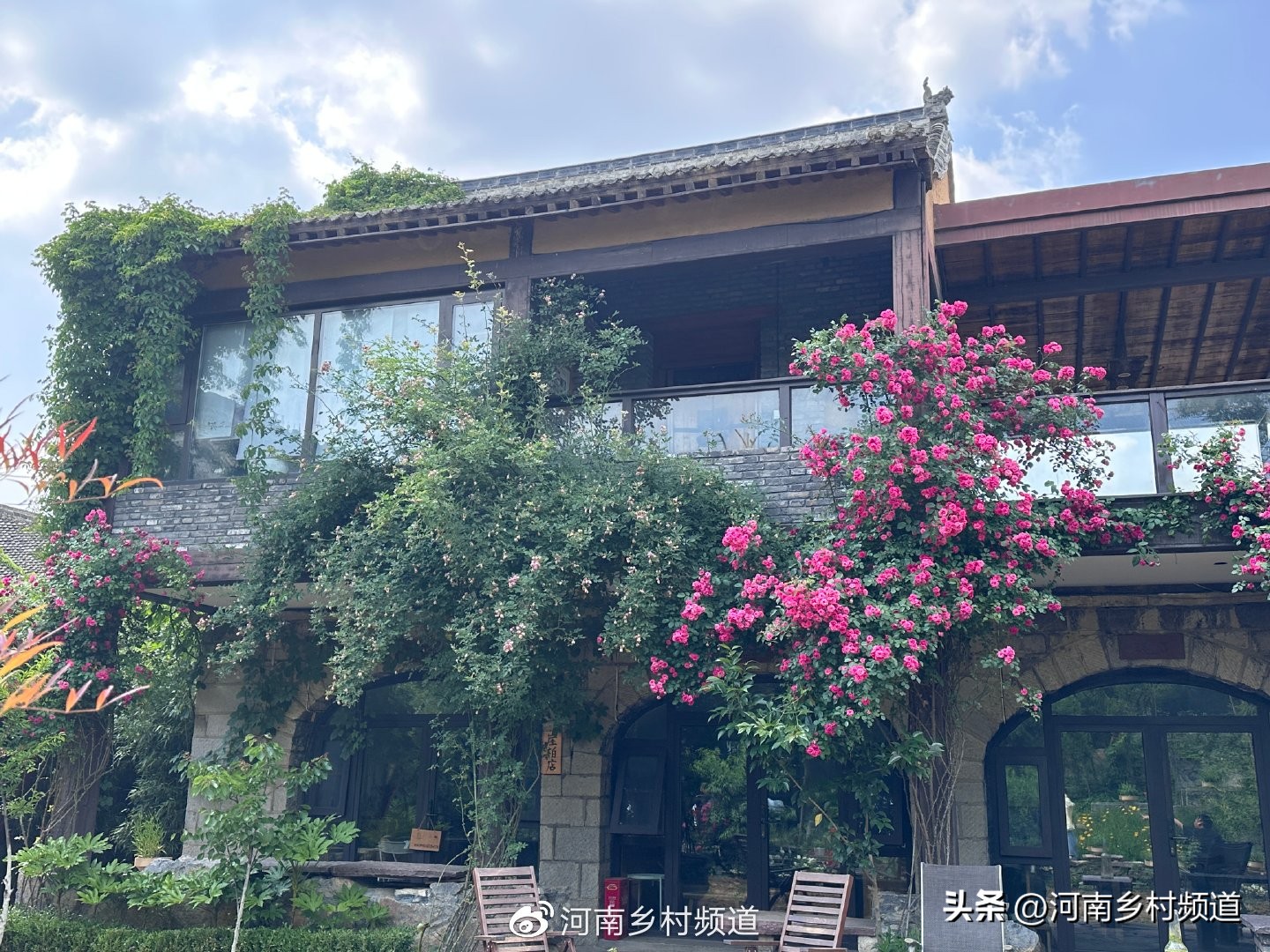 云上院子完整版,云上院子永安