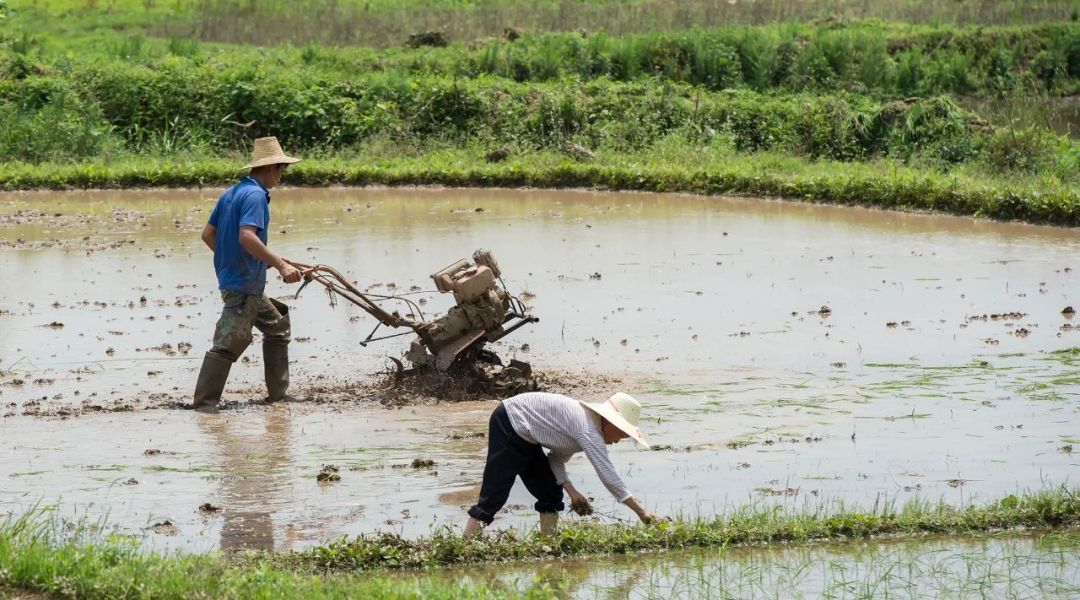 没交过社保老了怎么领养老金,父母在农村没有养老金怎么办