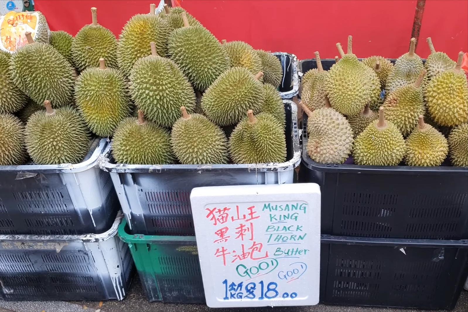 马来西亚黑刺榴莲为什么那么贵,马来西亚黑刺榴莲成熟期