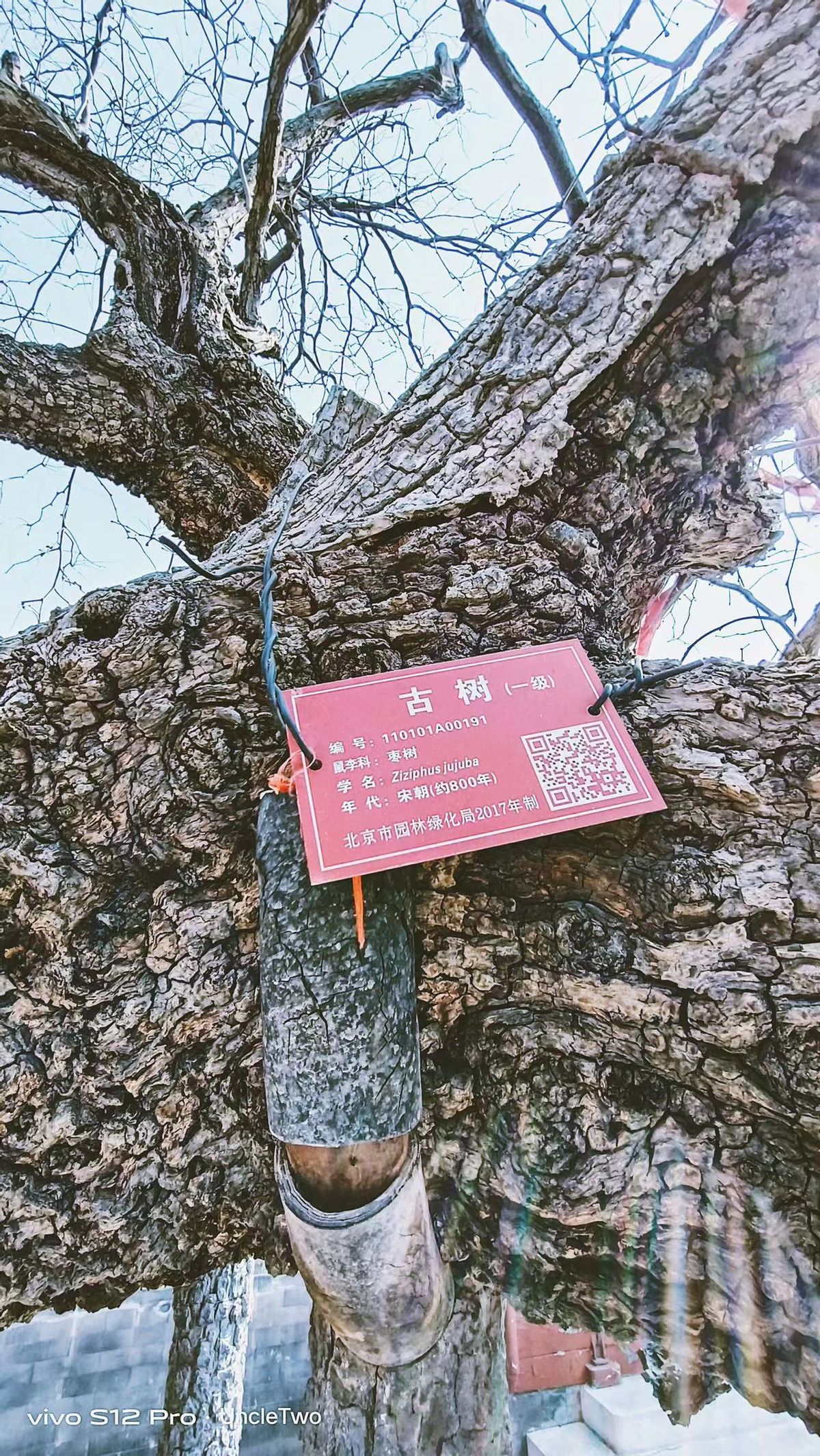 北京哪条胡同最原始最值得一看,十大著名的北京胡同