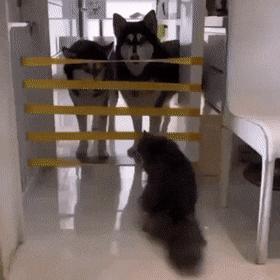 女朋友平胸我该怎么安慰,女朋友平胸该怎么安慰