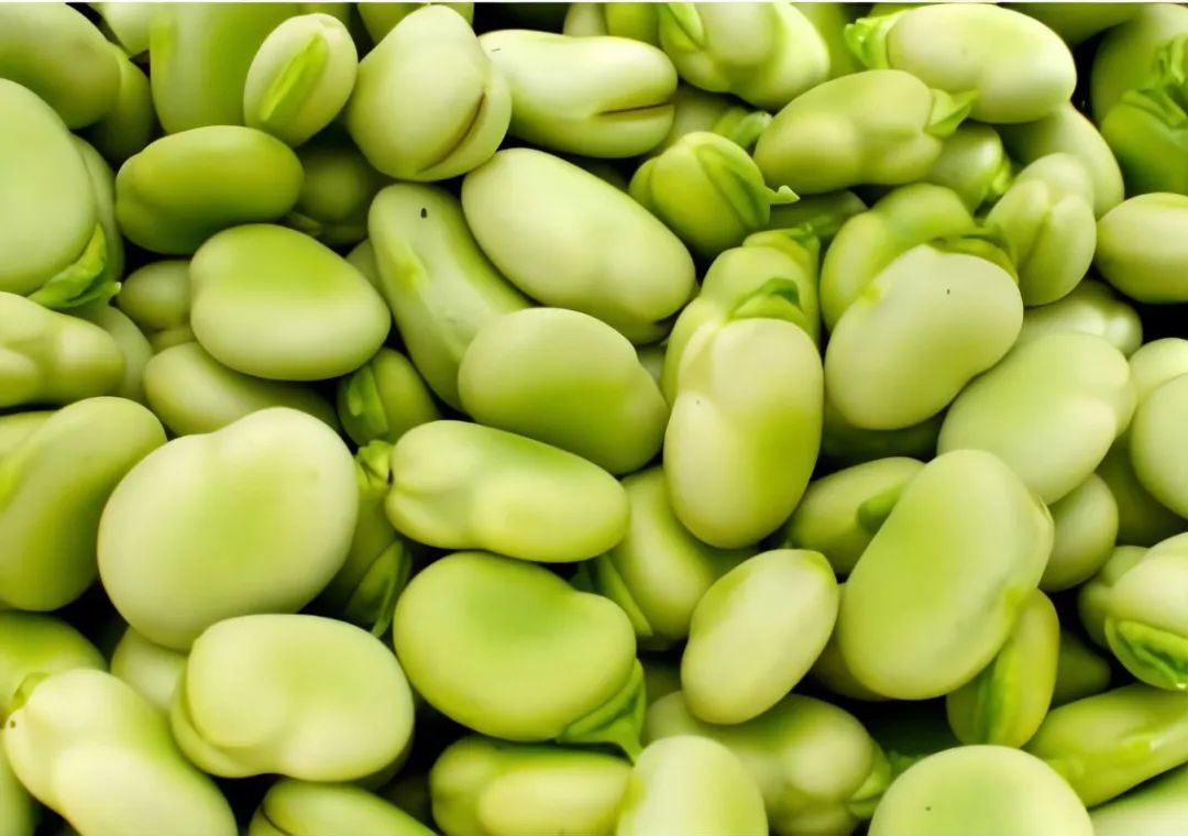 浙江人常吃的蔬菜有哪些,幼儿园常吃的蔬菜有哪些