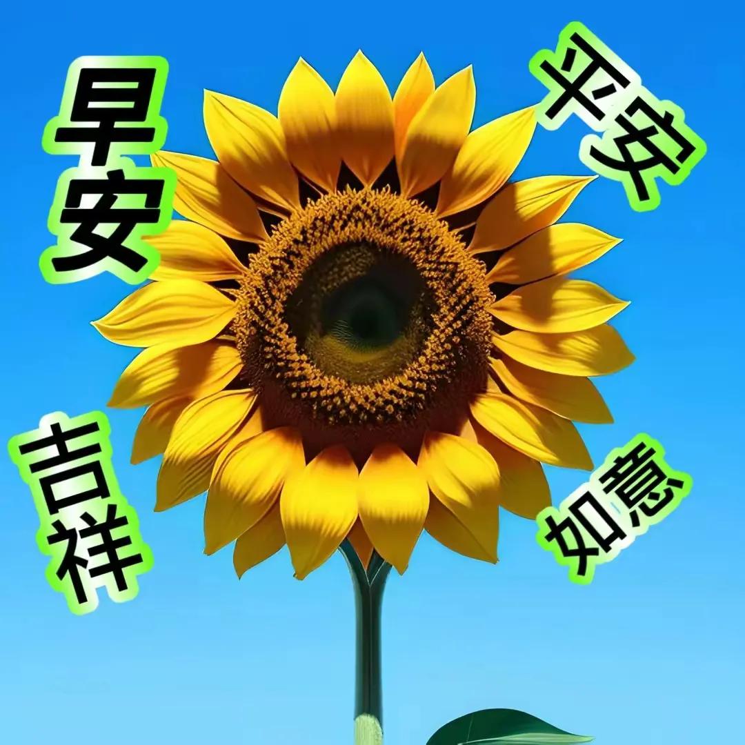 早安祝福图片大全,早安祝福图片大全2022年