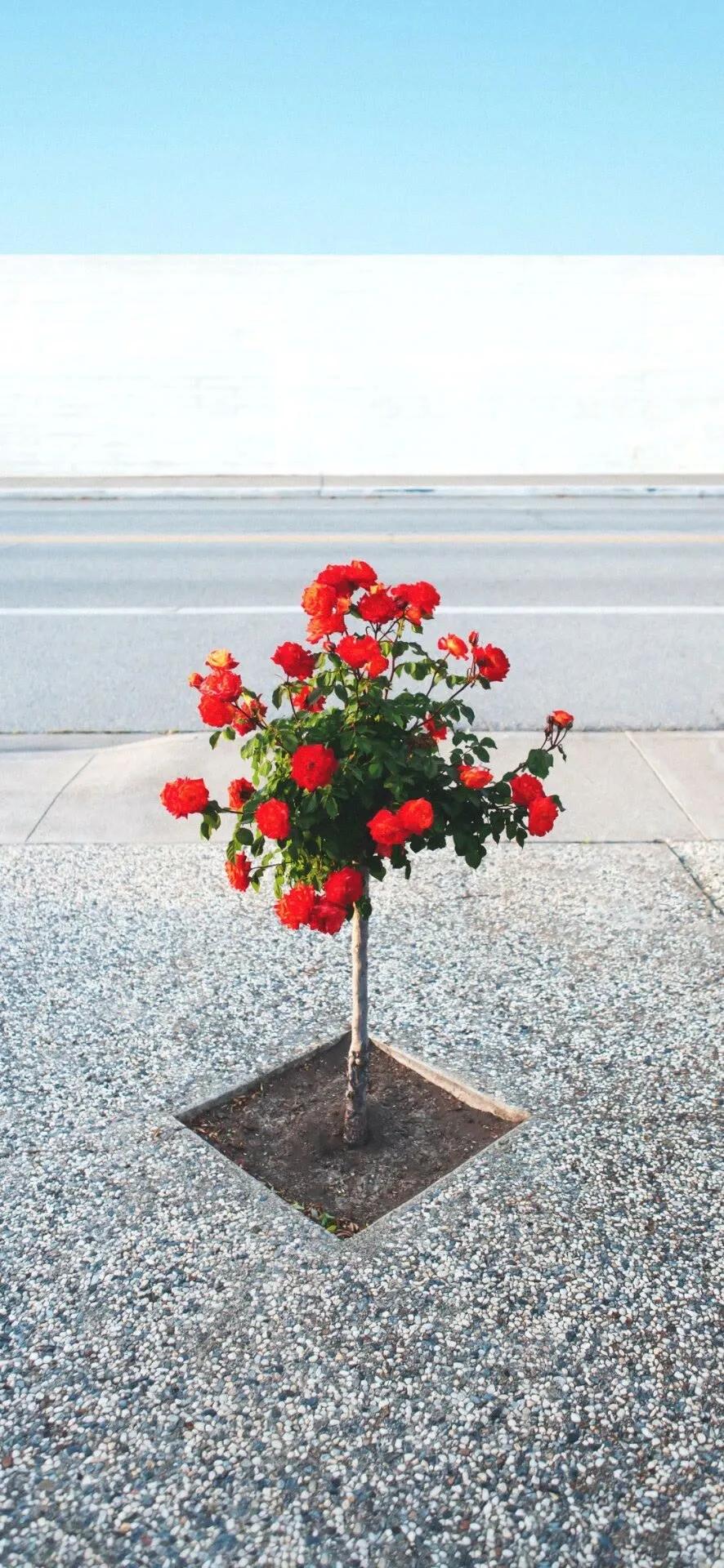 锁屏壁纸全屏壁纸,动态锁屏壁纸全屏高清120帧