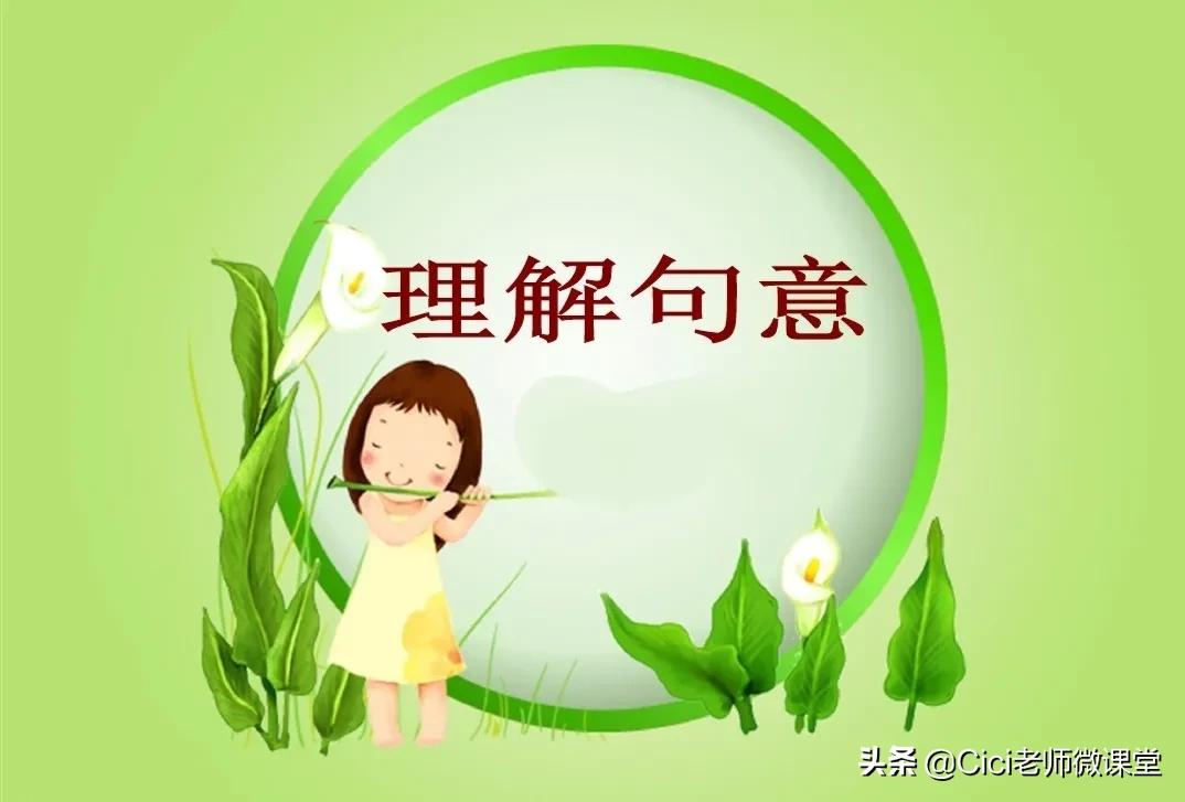 部编版三年级上册语文教学感想,部编三年级语文阅读理解题