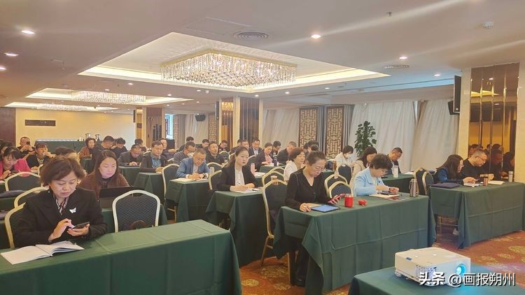 教师交流：专家名校齐赋能一动一静两相宜