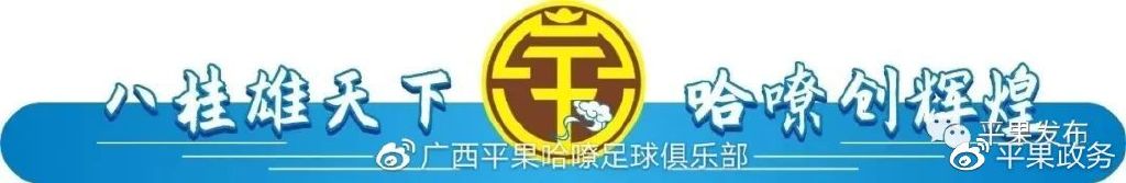 平果足球联赛门票,2023年中国足球协会甲级联赛购票