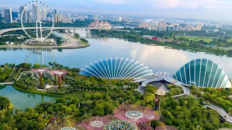 移民新加坡政策和费用,移民新加坡要求技术移民