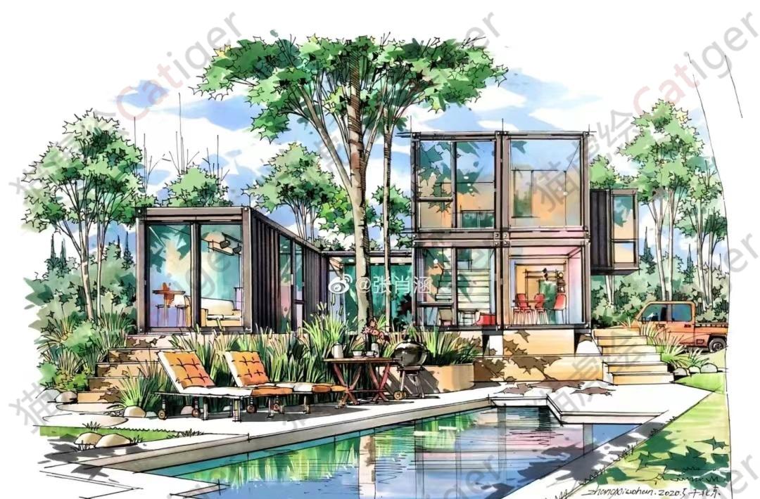 猫虎画,猫虎绘画