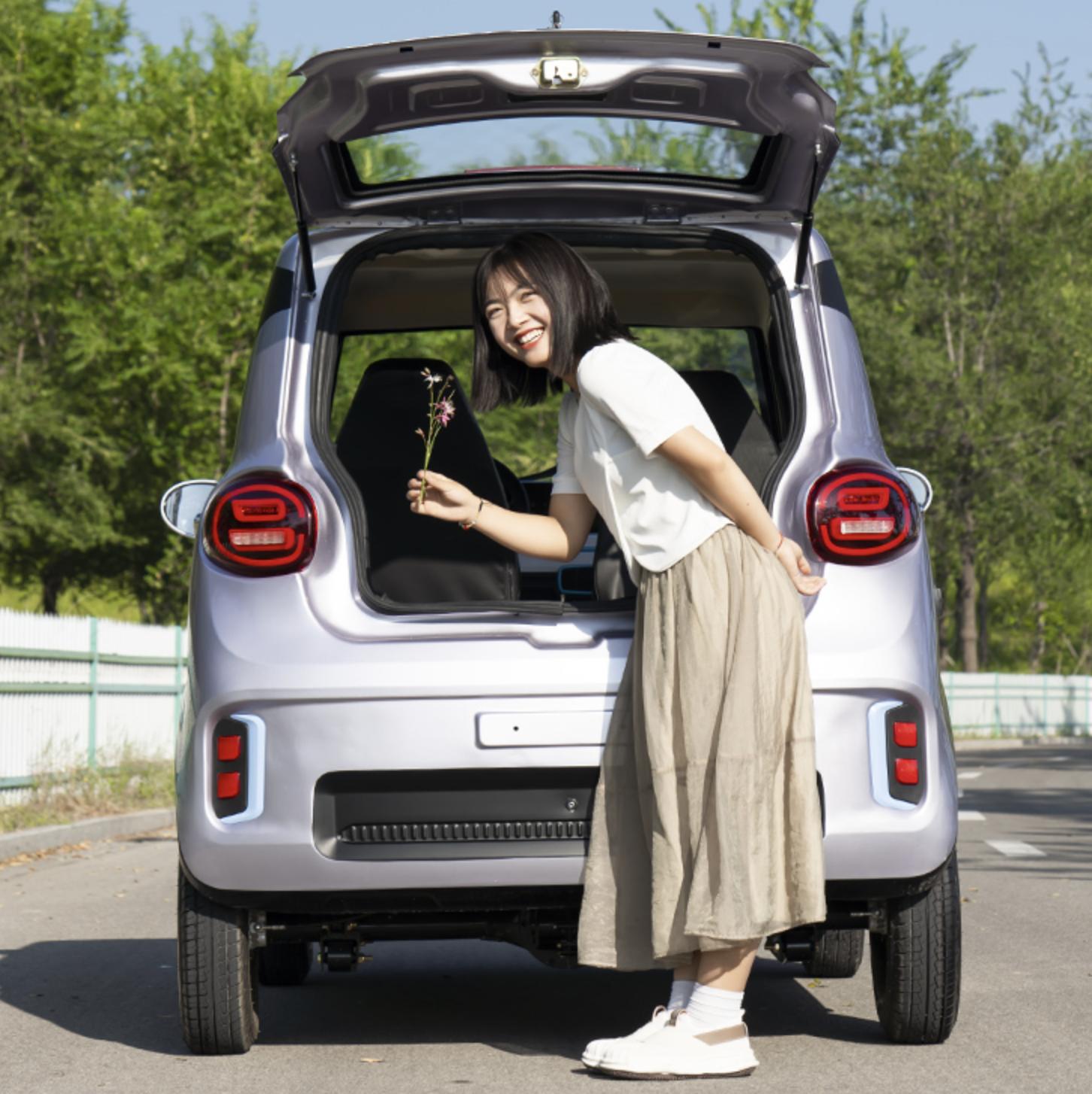 续航里程高时速又快的双座电动车,低速电动车最新车型