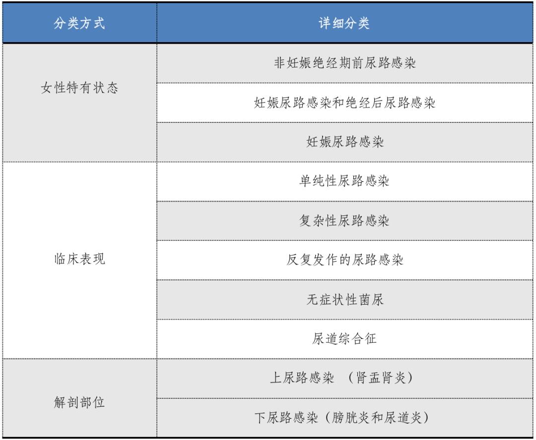 必看！泌尿道感染用药全解读