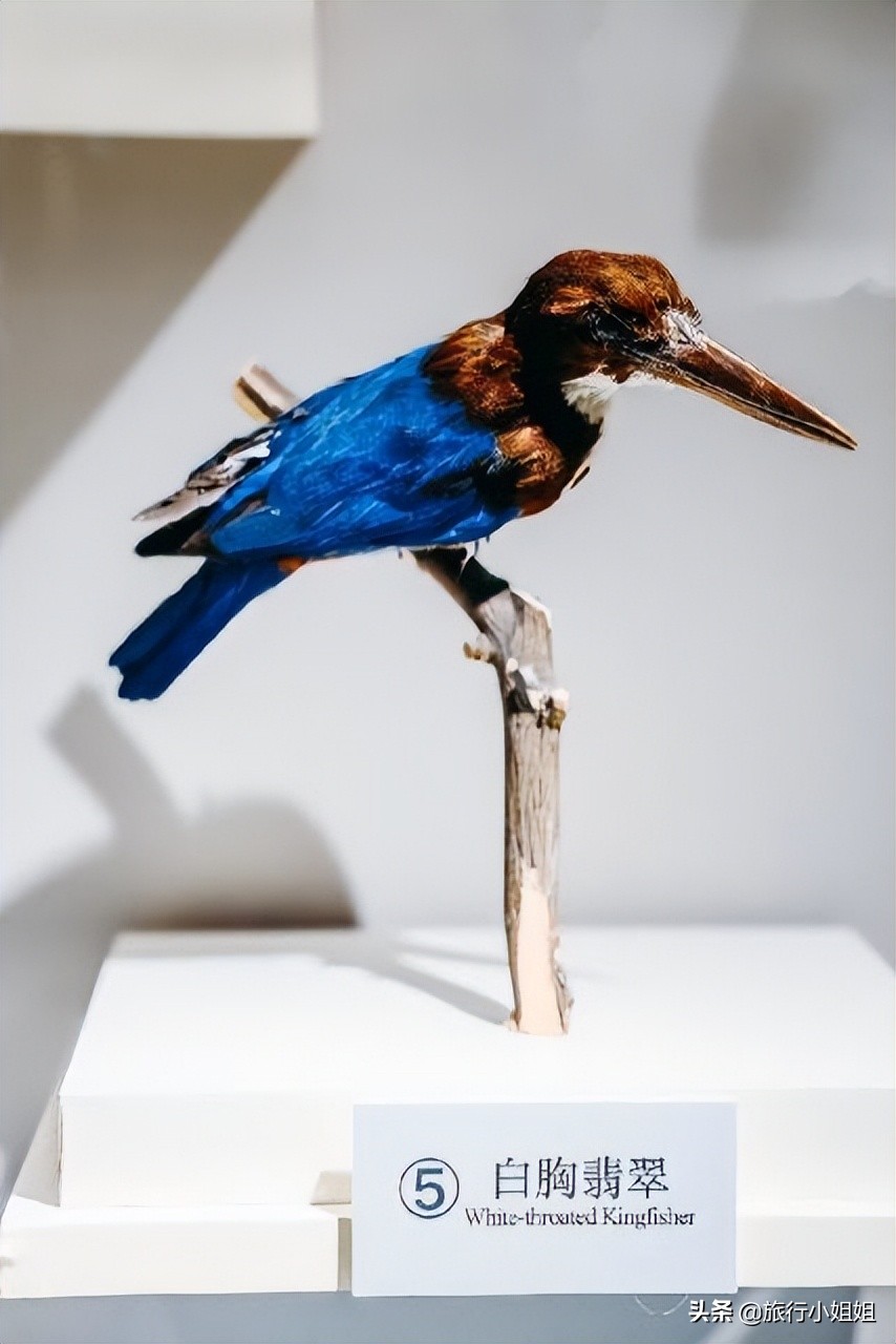 夏日海边微醺氛围感,滨城风光秀丽浪漫气息爆表