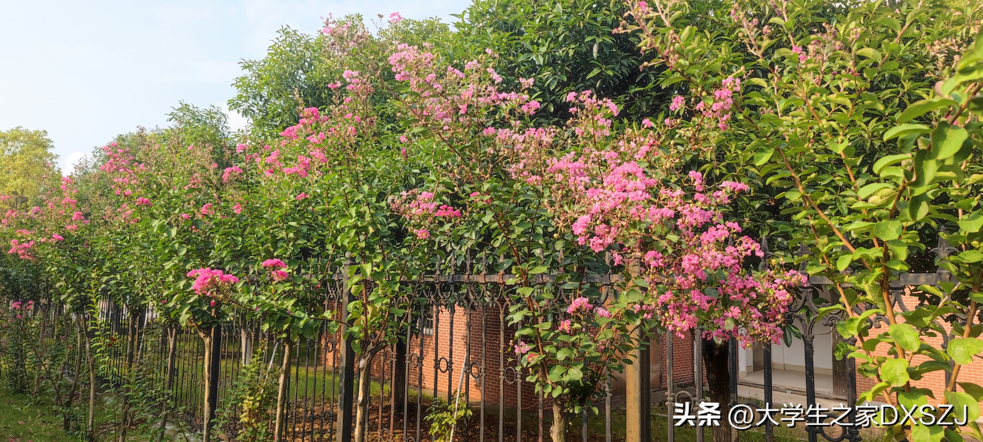 校园生活-长沙理工大学云塘校区图文实录