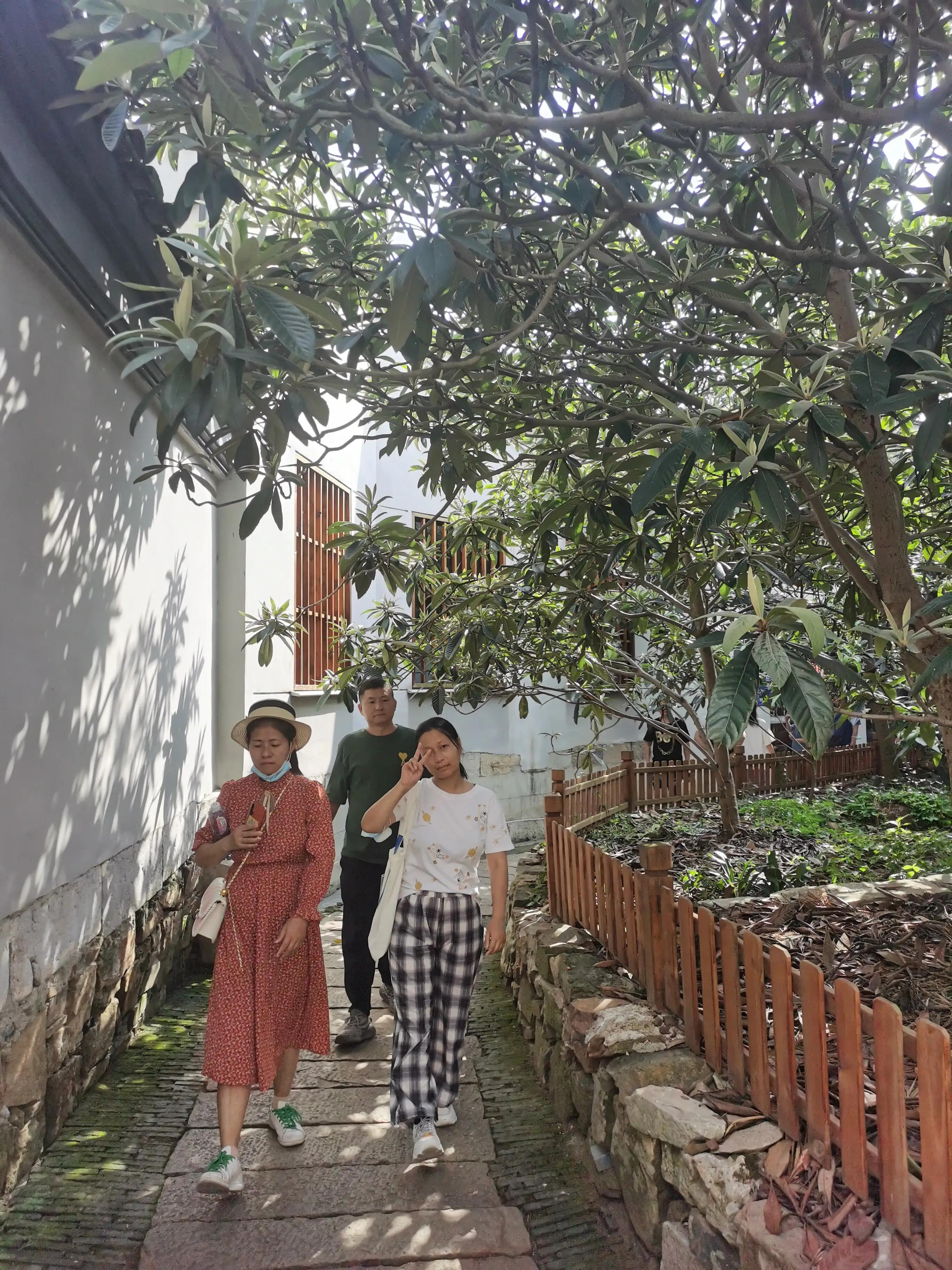 苏州金庭西山旅游攻略,苏州西山金庭古镇