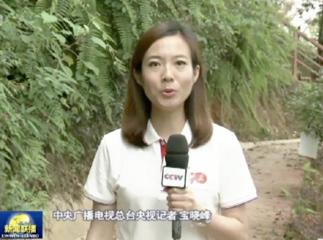 央视新闻联播主播宝晓峰个人简历,中央新闻联播主播宝晓峰简介