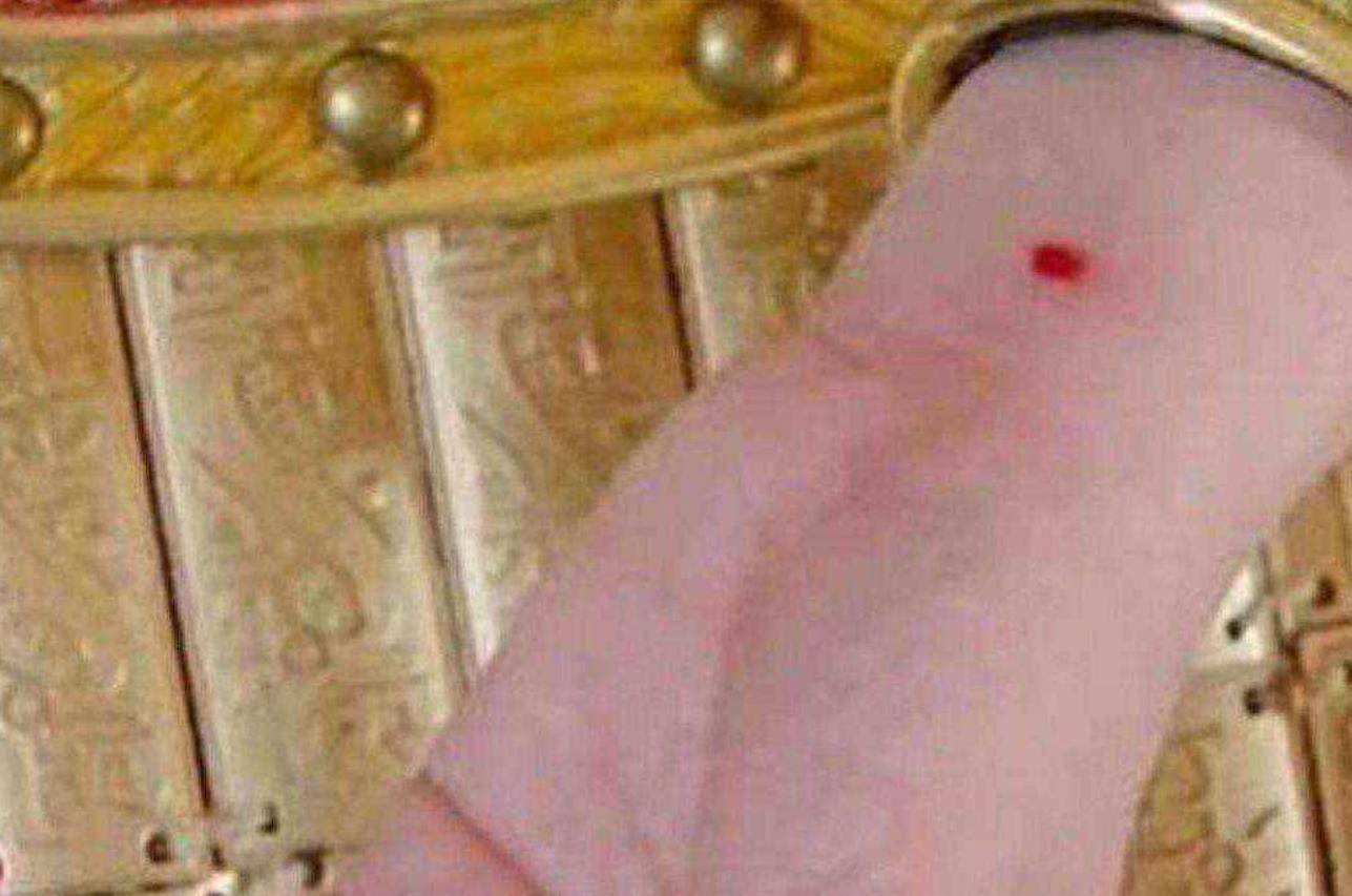 一点红就能辨女子贞洁,古代守宫砂是什么原理?李时珍:大半假的