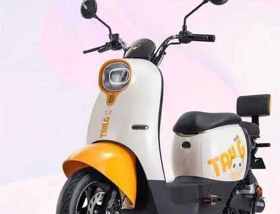 宝岛电动车能上路吗,能上牌不要驾照的电动三轮车