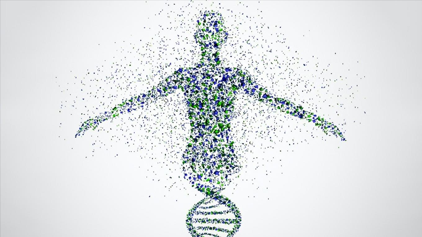 没有月经没有子宫是石女吗,没有生育能力的女人是石女吗